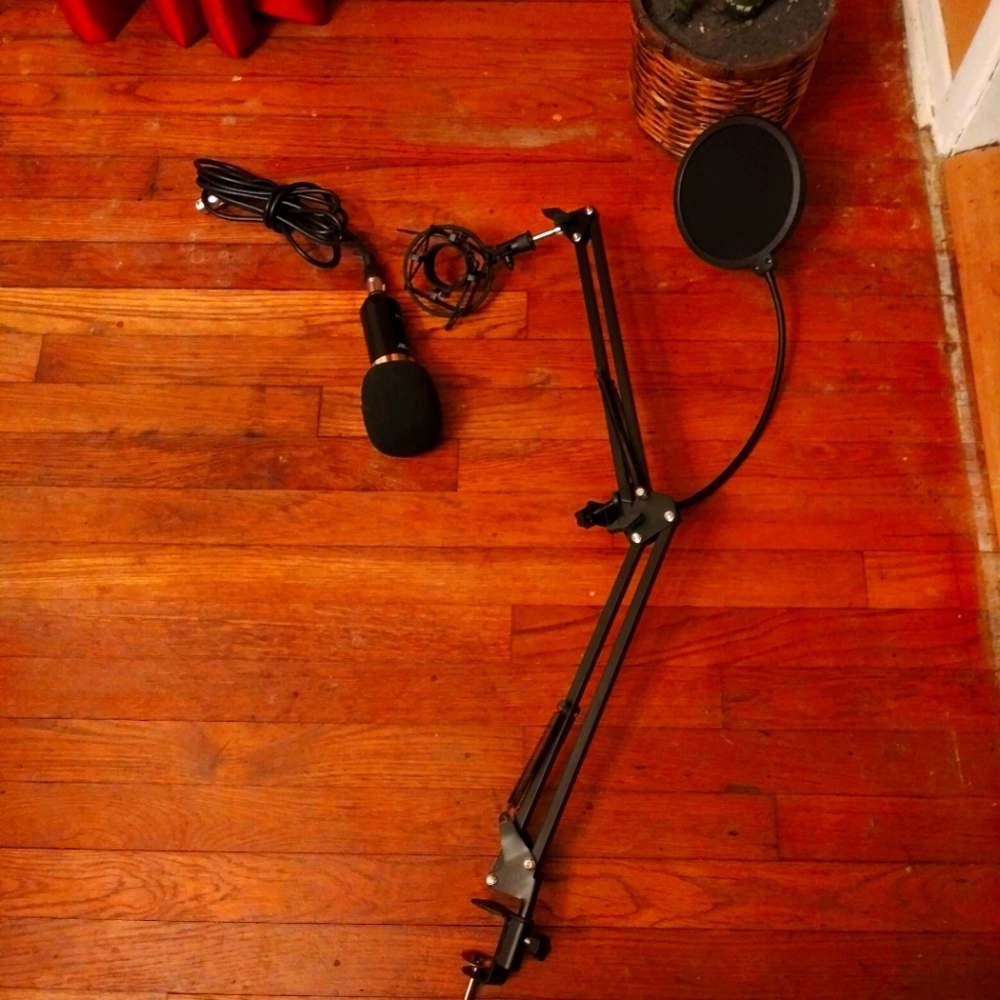 Microphone Stand with "Wind Screen" and Microphone